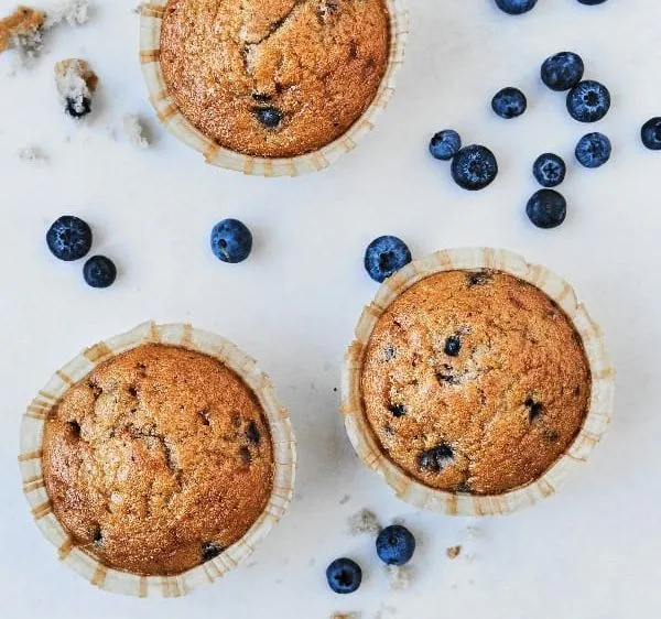 Blueberry Muffin
