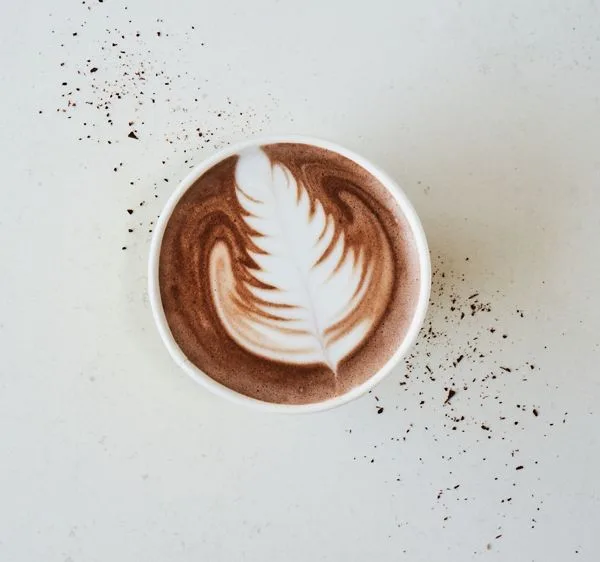 Mocha 16oz