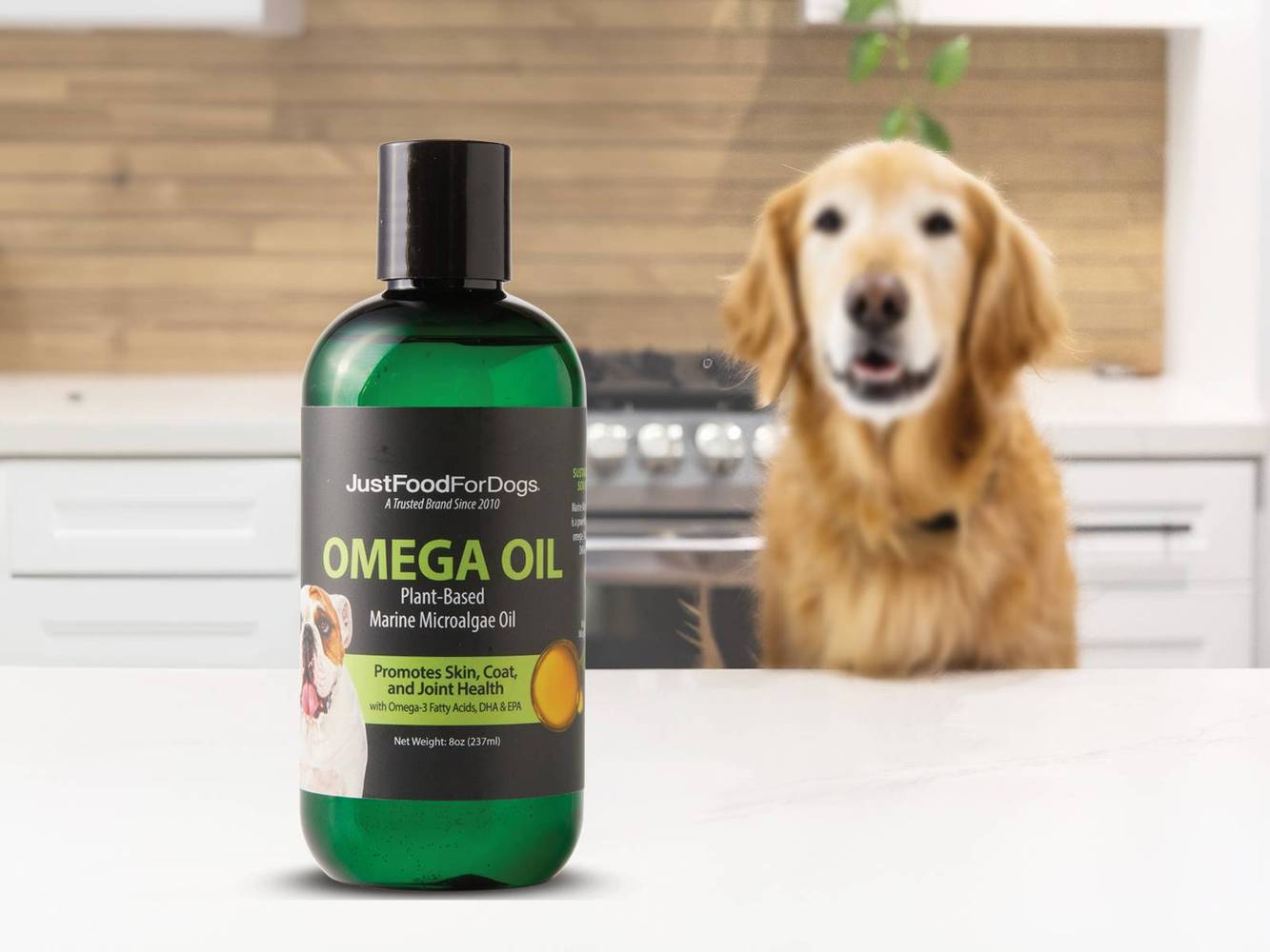 Omega Oil with Algae  8oz