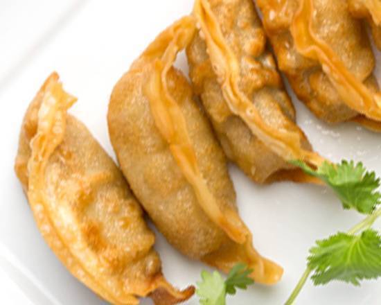 Fried Gyoza Dumplings