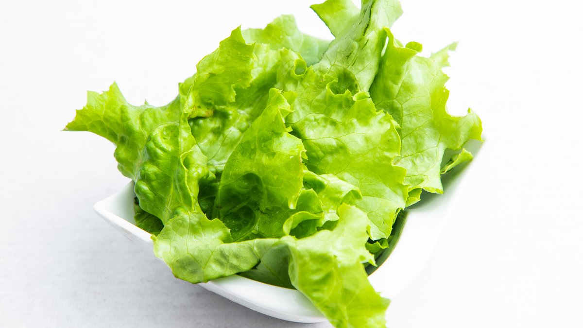 Zelena salata