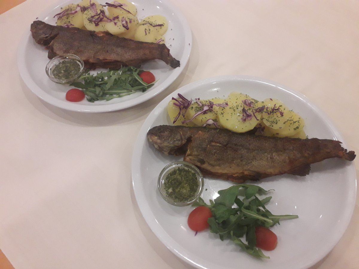 Pastrmka sa krompir salatom