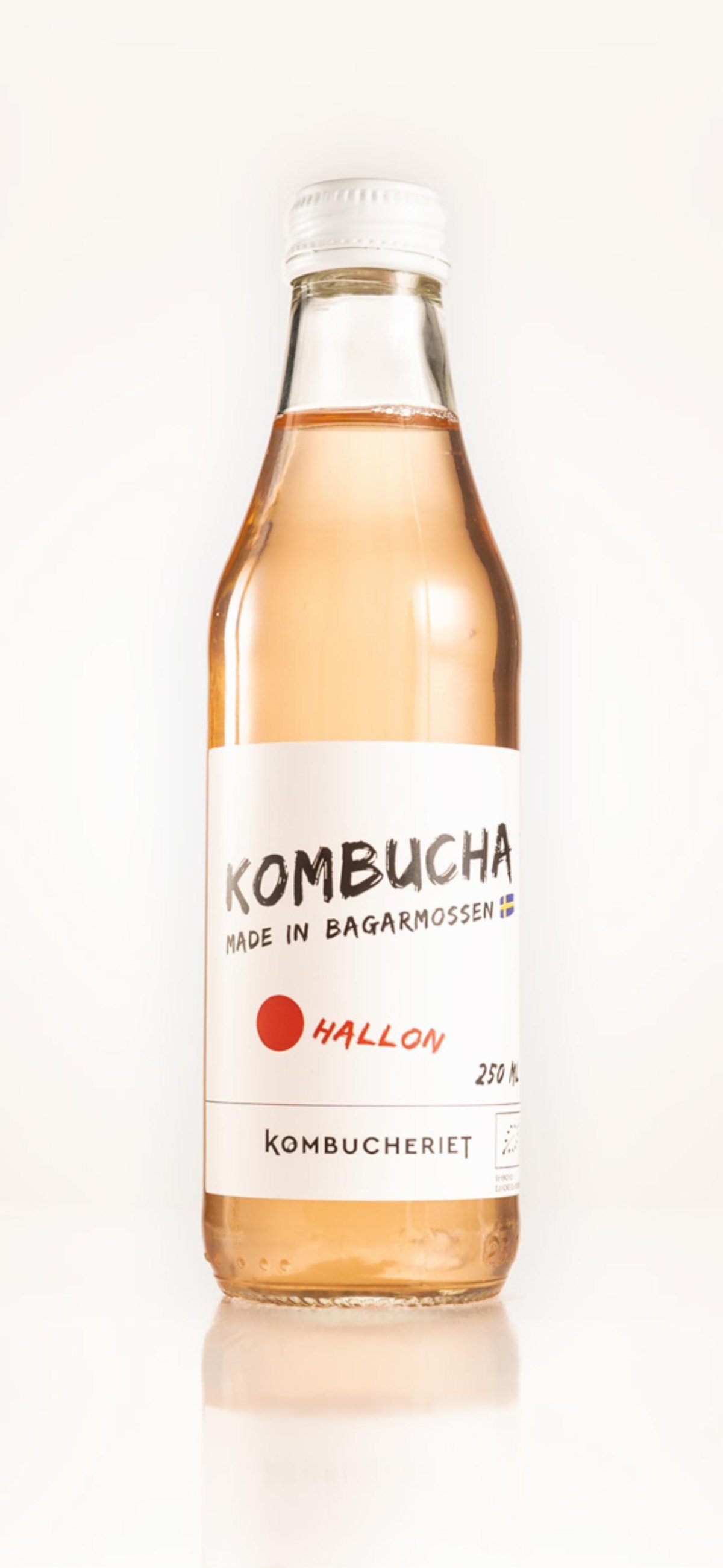 Kombucha Hallon / Raspberry