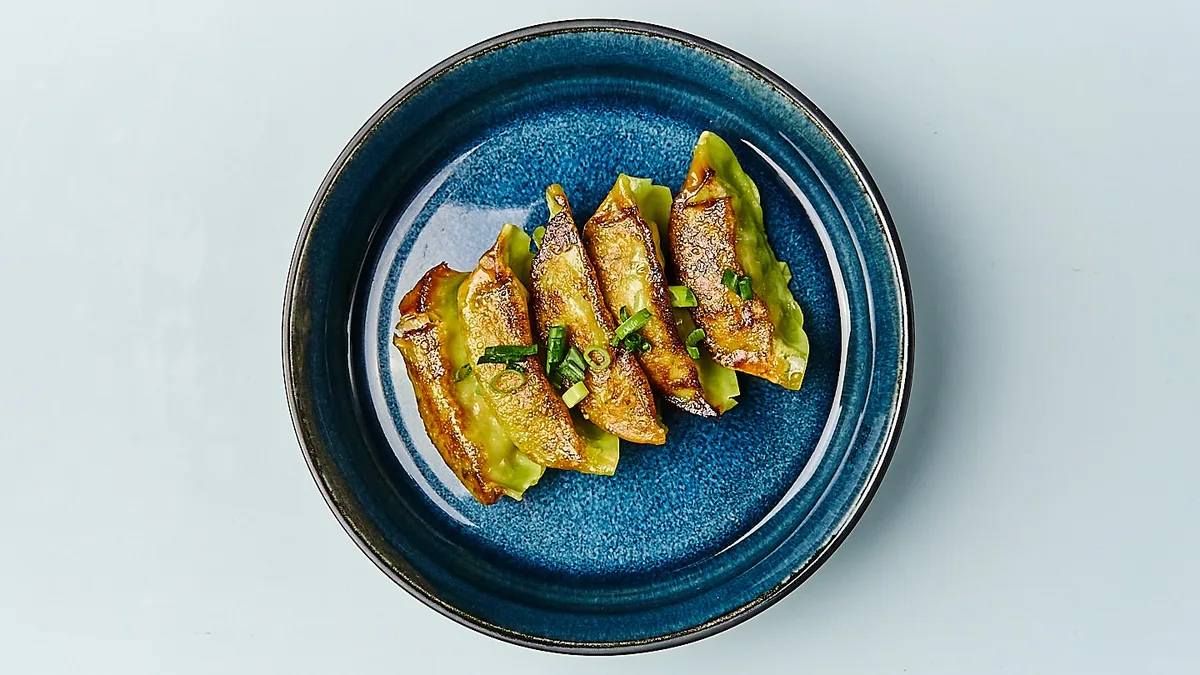 V15. Gyoza Vegetarian