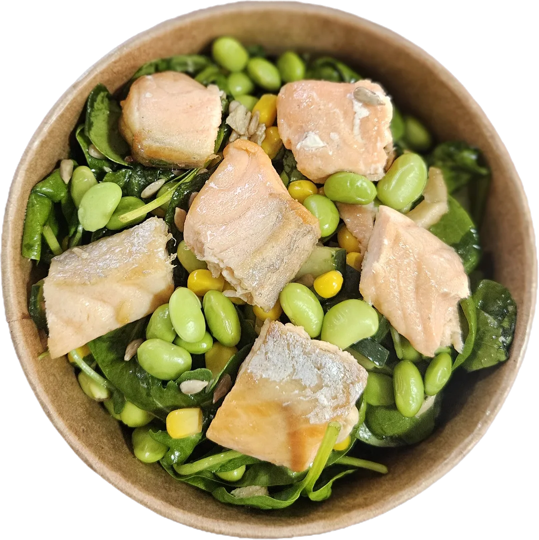 Salmon Bowl