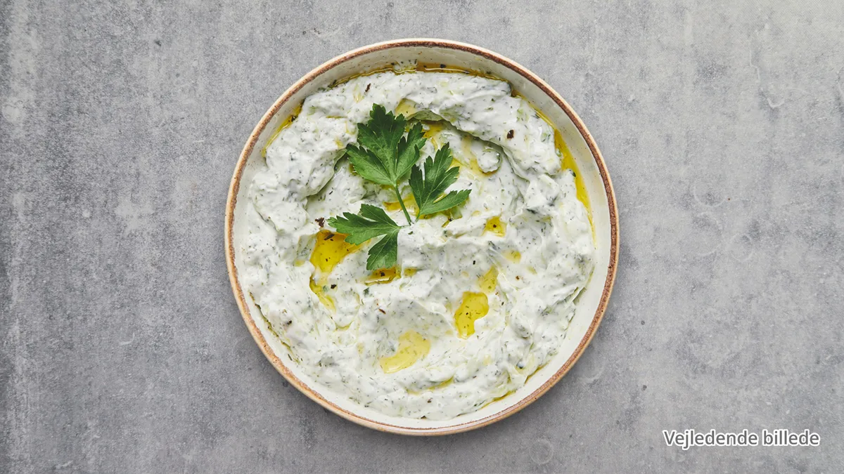 89a. Tzatziki (V)