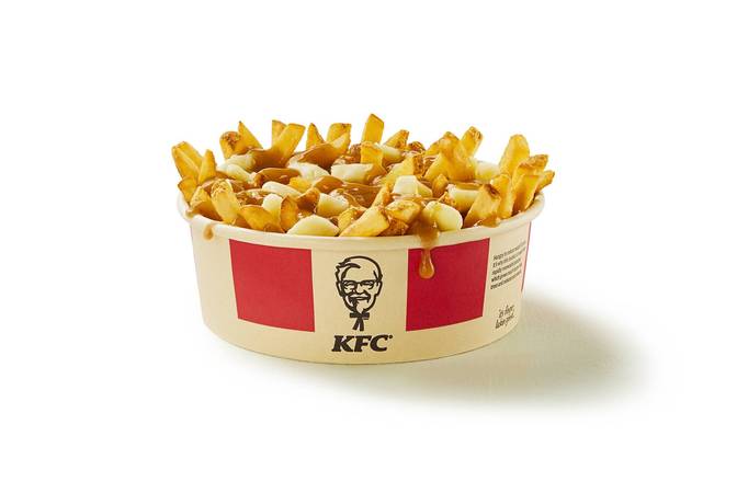 Large Poutine