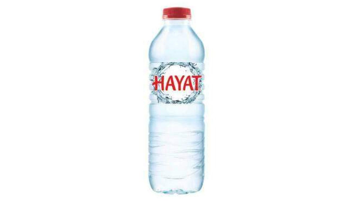 Hayat Wasser Still 0.5l