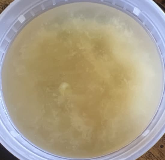 Miso Soup