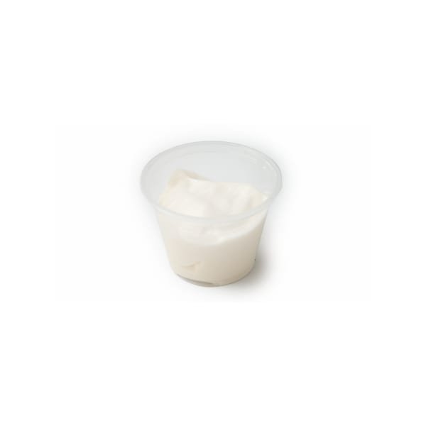 Vegan Mayonnaise