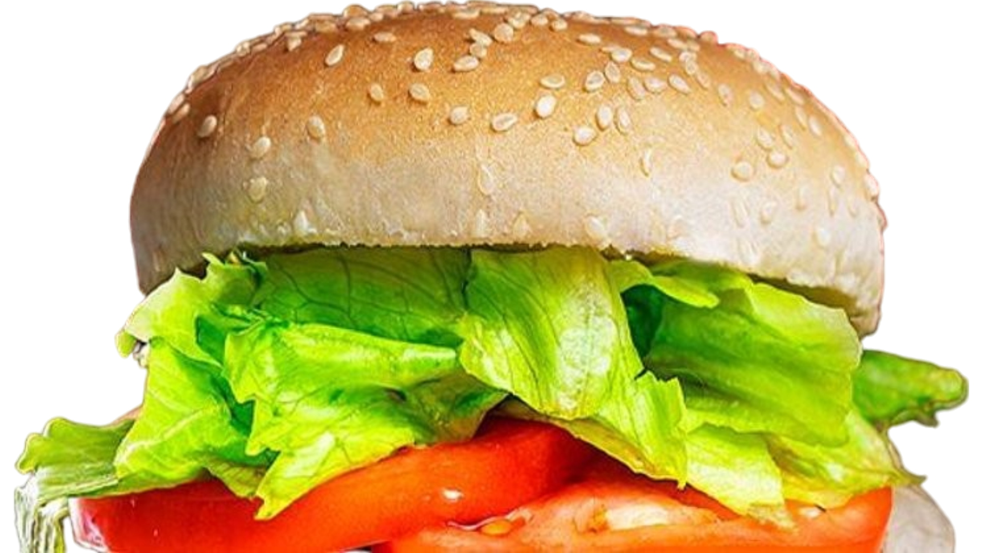 DOUBLE CHEESEBURGER