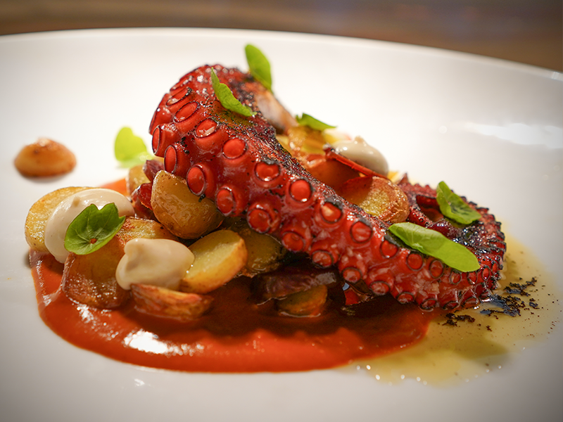 Spanish Octopus