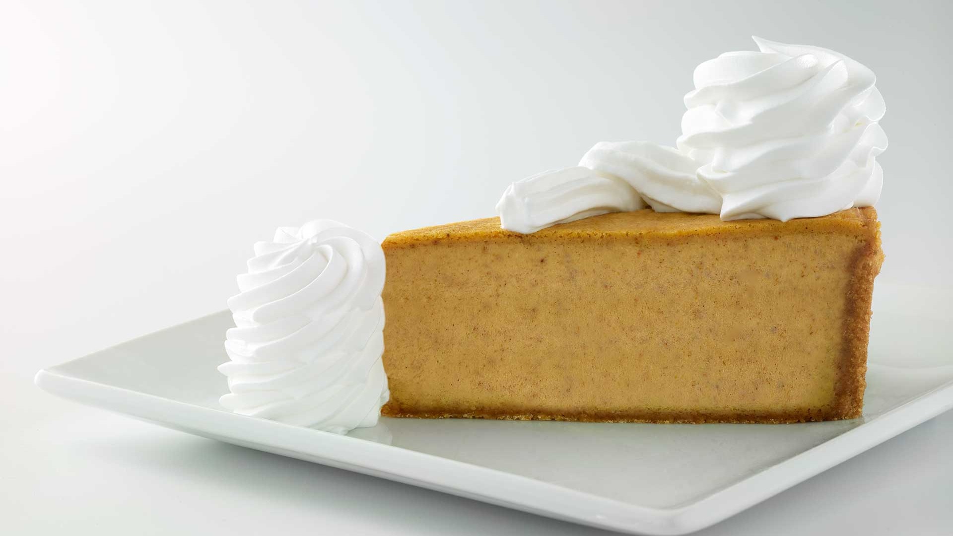 Tranche de gâteau au fromage Citrouille / Pumpkin cheesecake slice