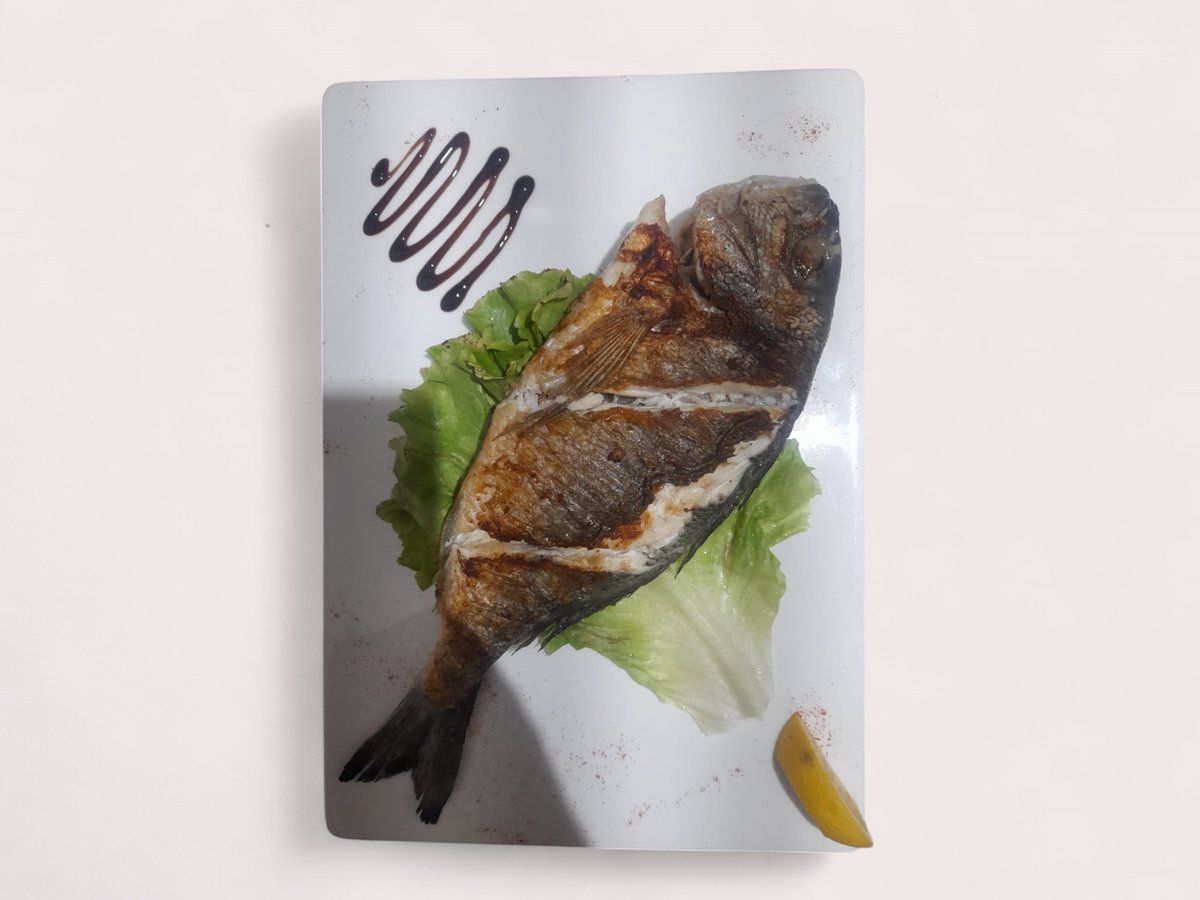 Seabream