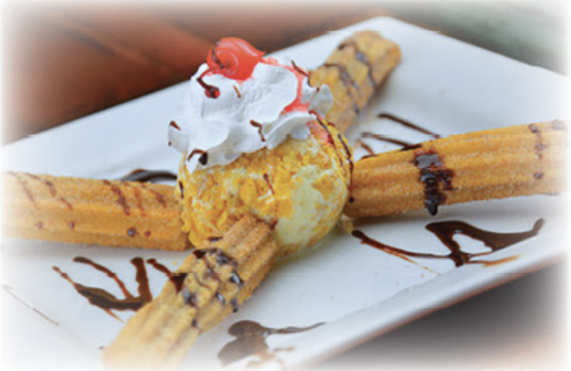 Churros  with Ice Cream