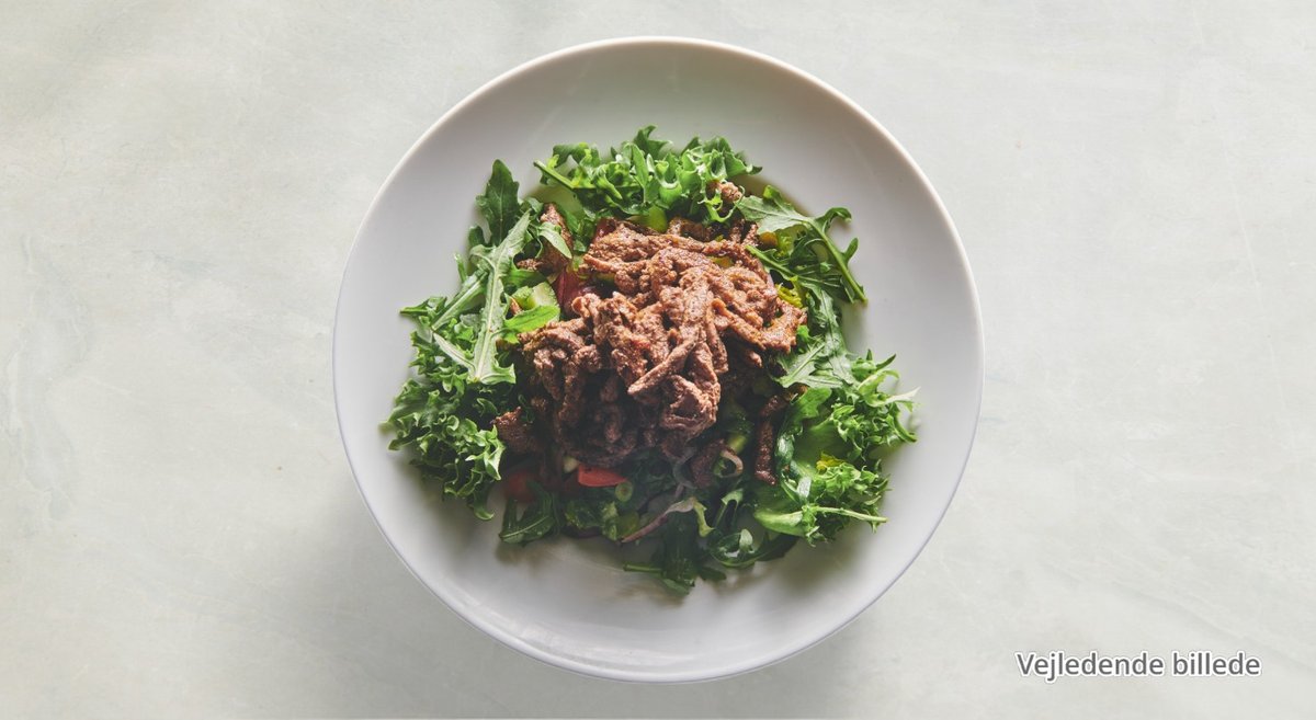 66. Kødstrimler salat