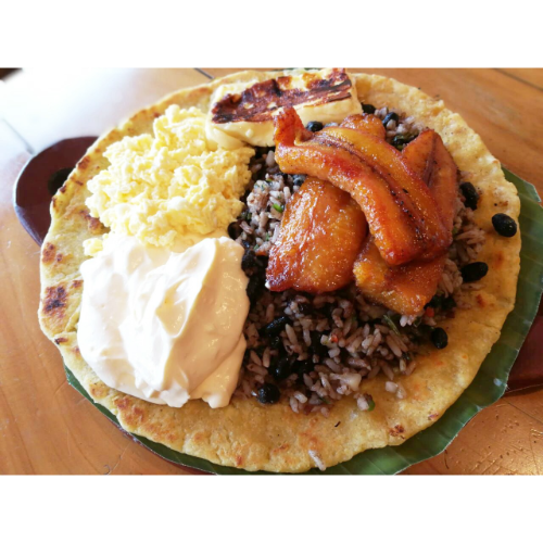 5 Pintortillas