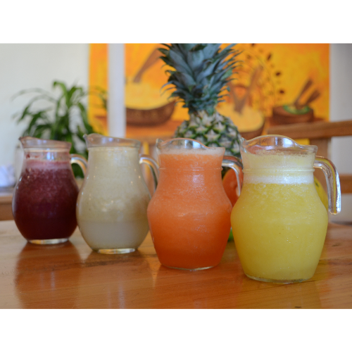Bebidas Naturales