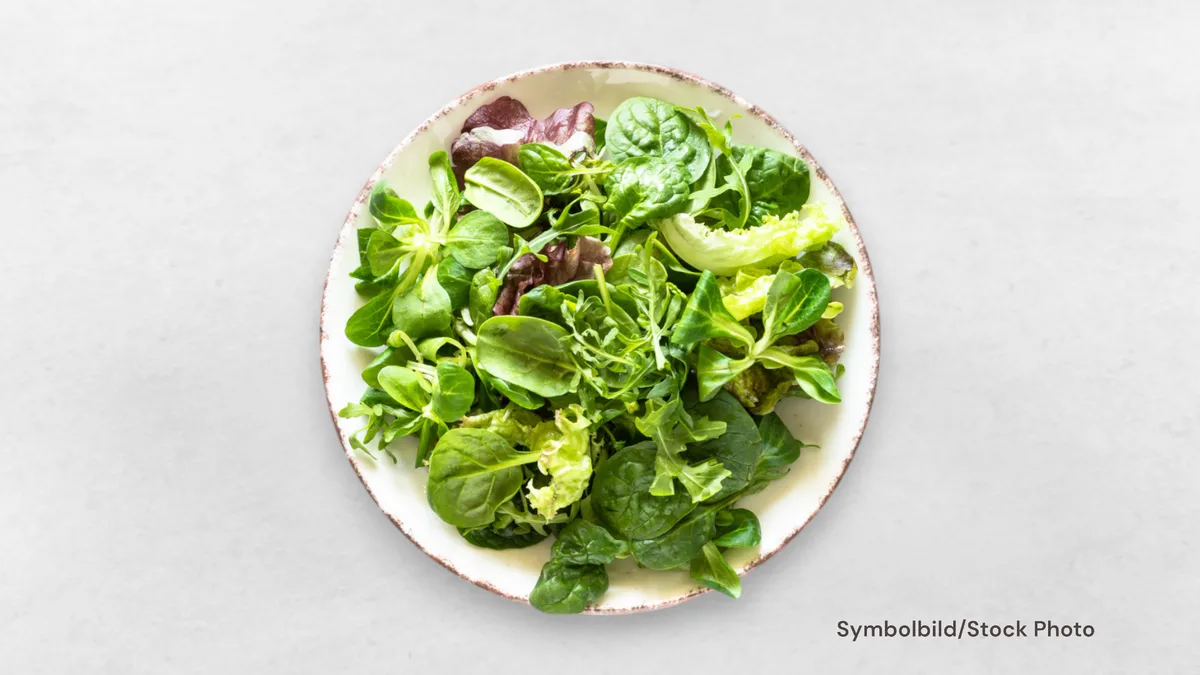 Grüner Salat