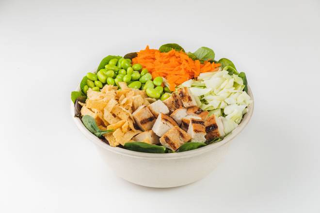 Asian Chicken or Tofu Salad