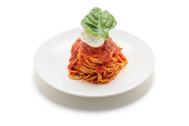 Spaghetti Pomodoro and Burrata