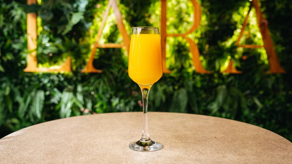 Mimosa