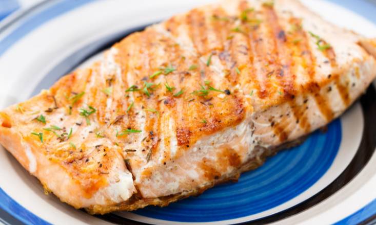 Salmon