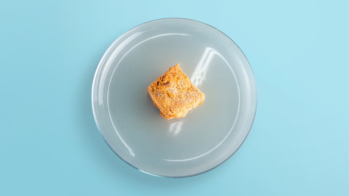 Classic Fried Lasagna