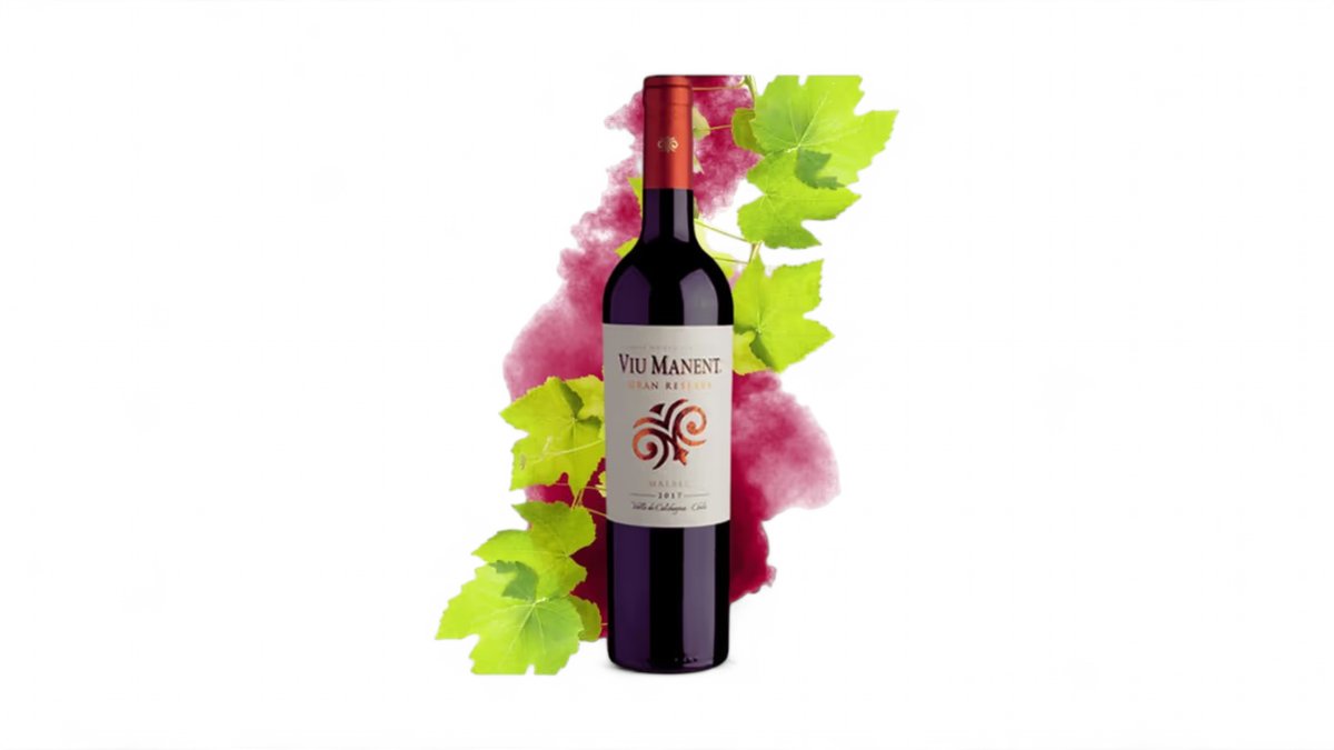Gran Reserva Malbec Viu Manent