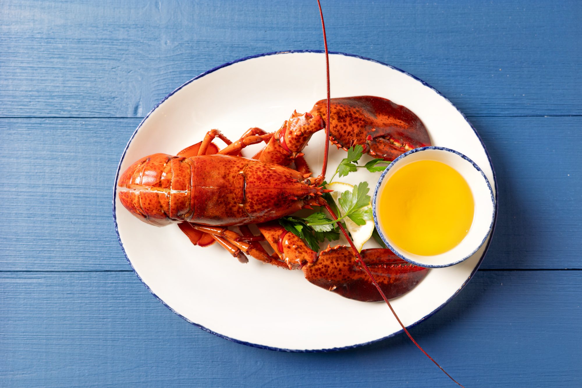 Lobster, Steamed