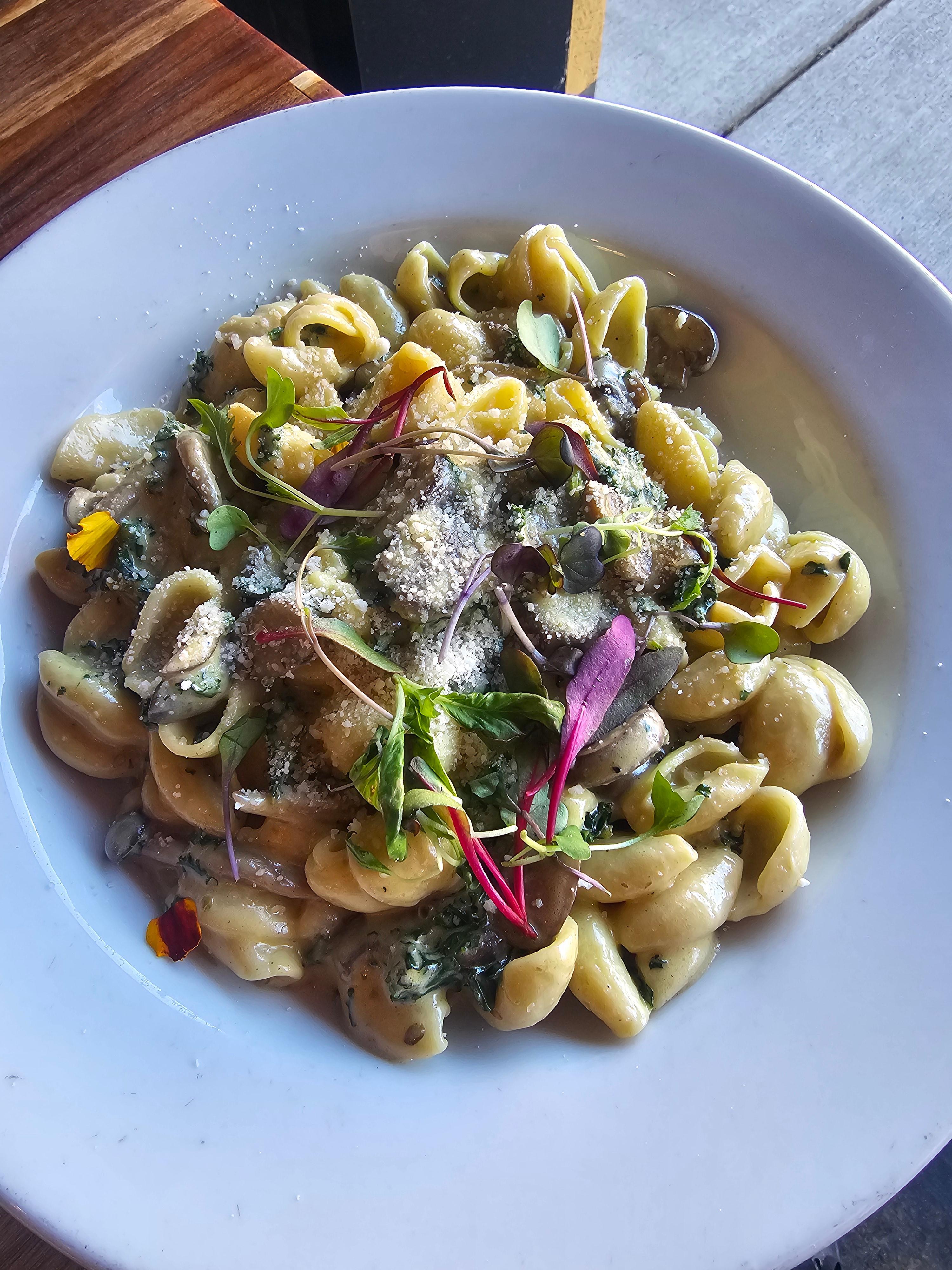 Spicy Orechiette Kale Alfredo