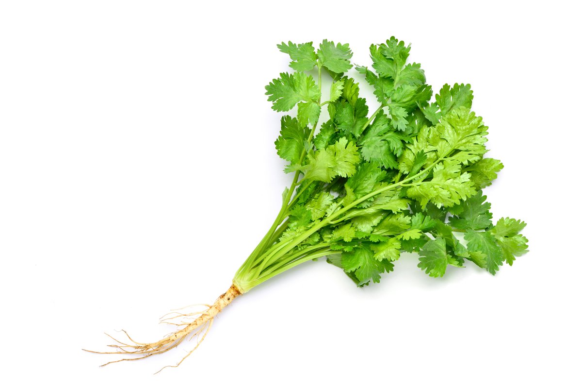 Urter (til suppe)