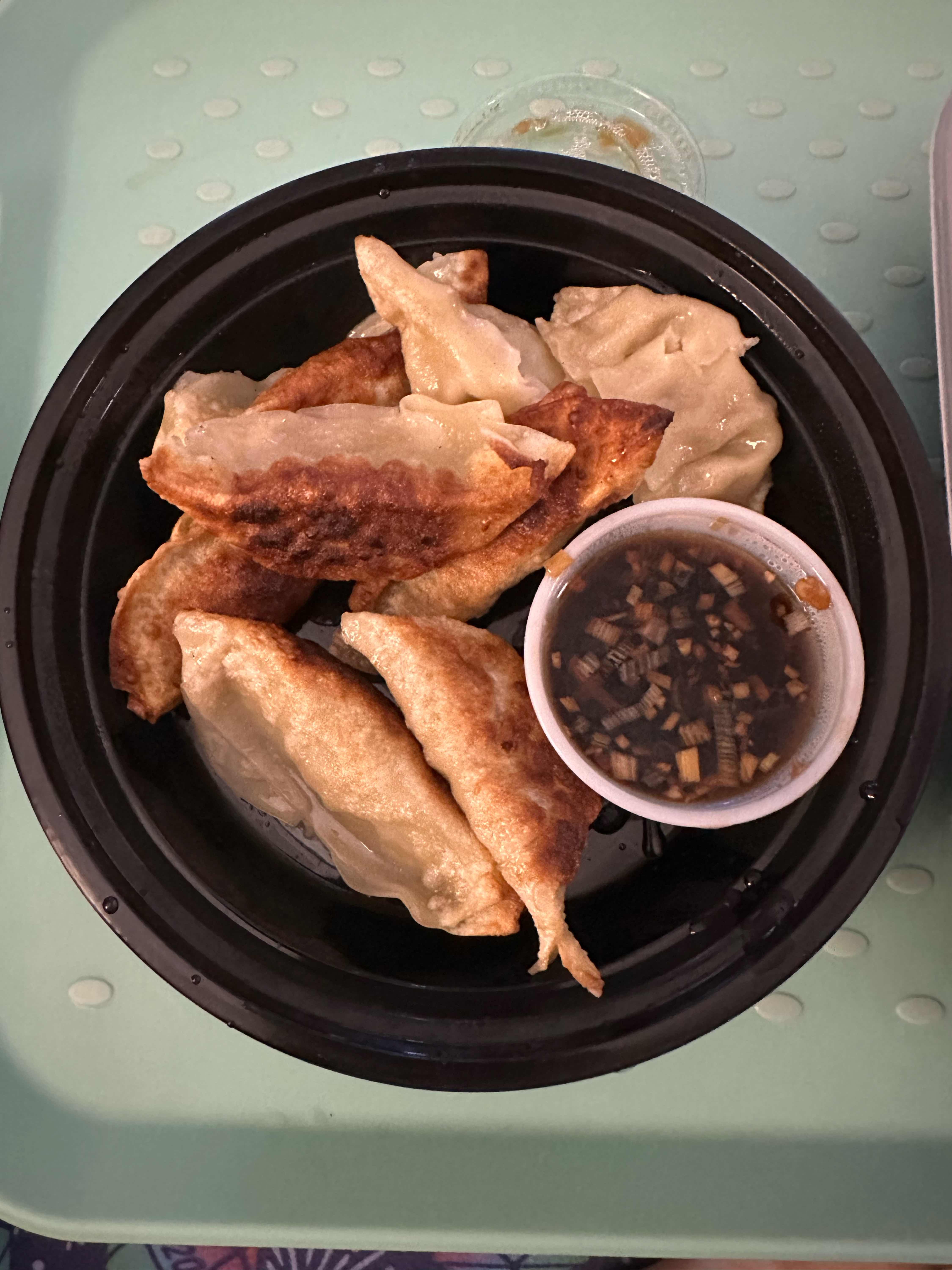 Fried or Steamed Dumpling (8)