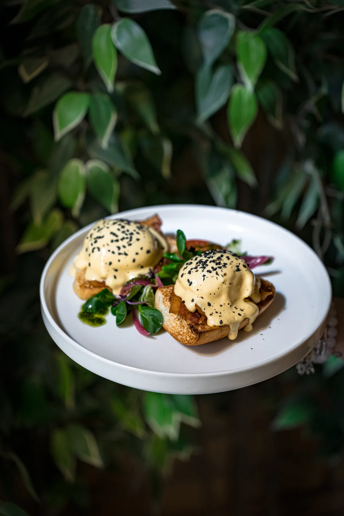 Lazacos Eggs Benedict