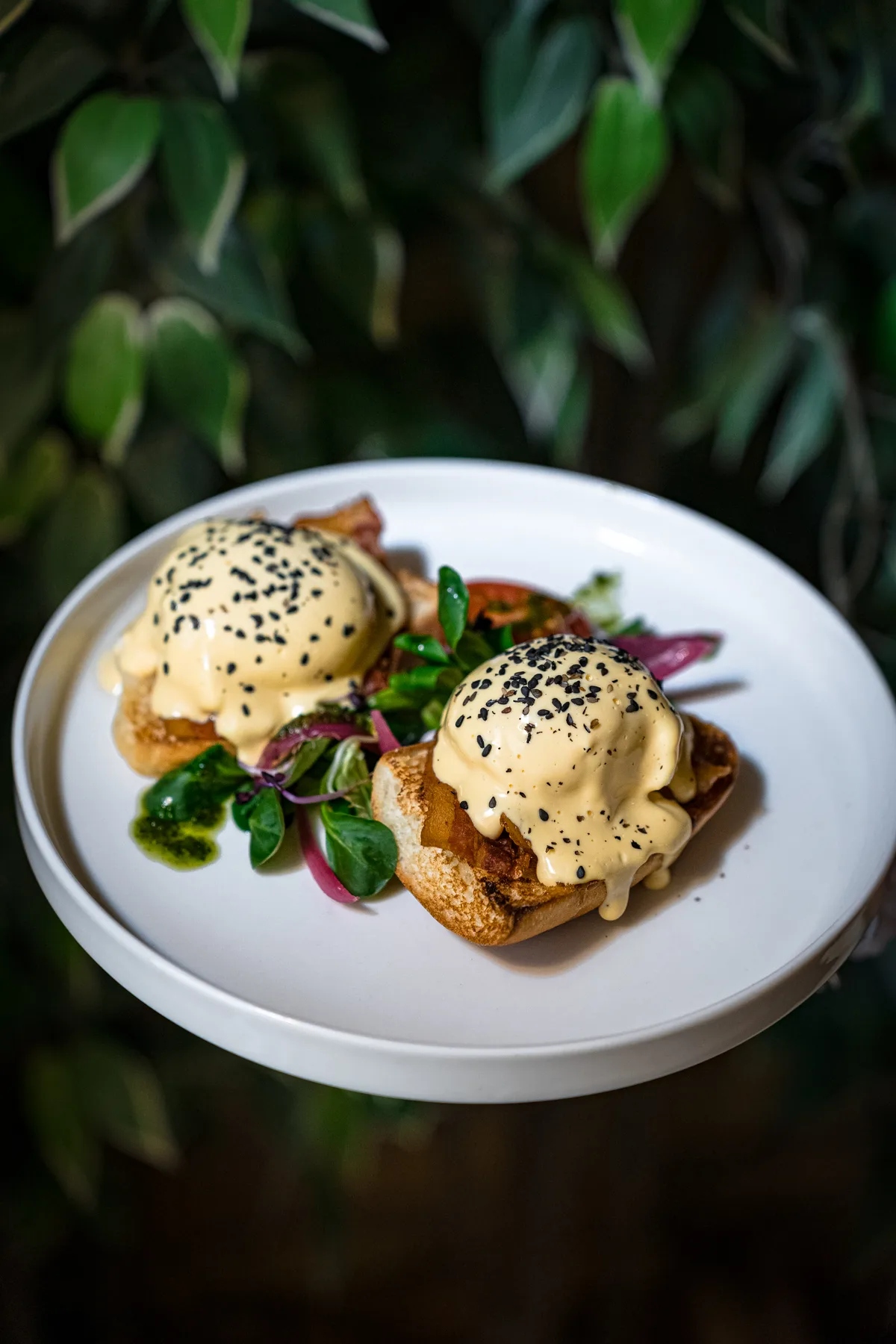 Szarvasgombás Eggs Benedict