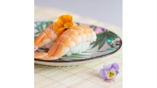 Nigiri Ebi