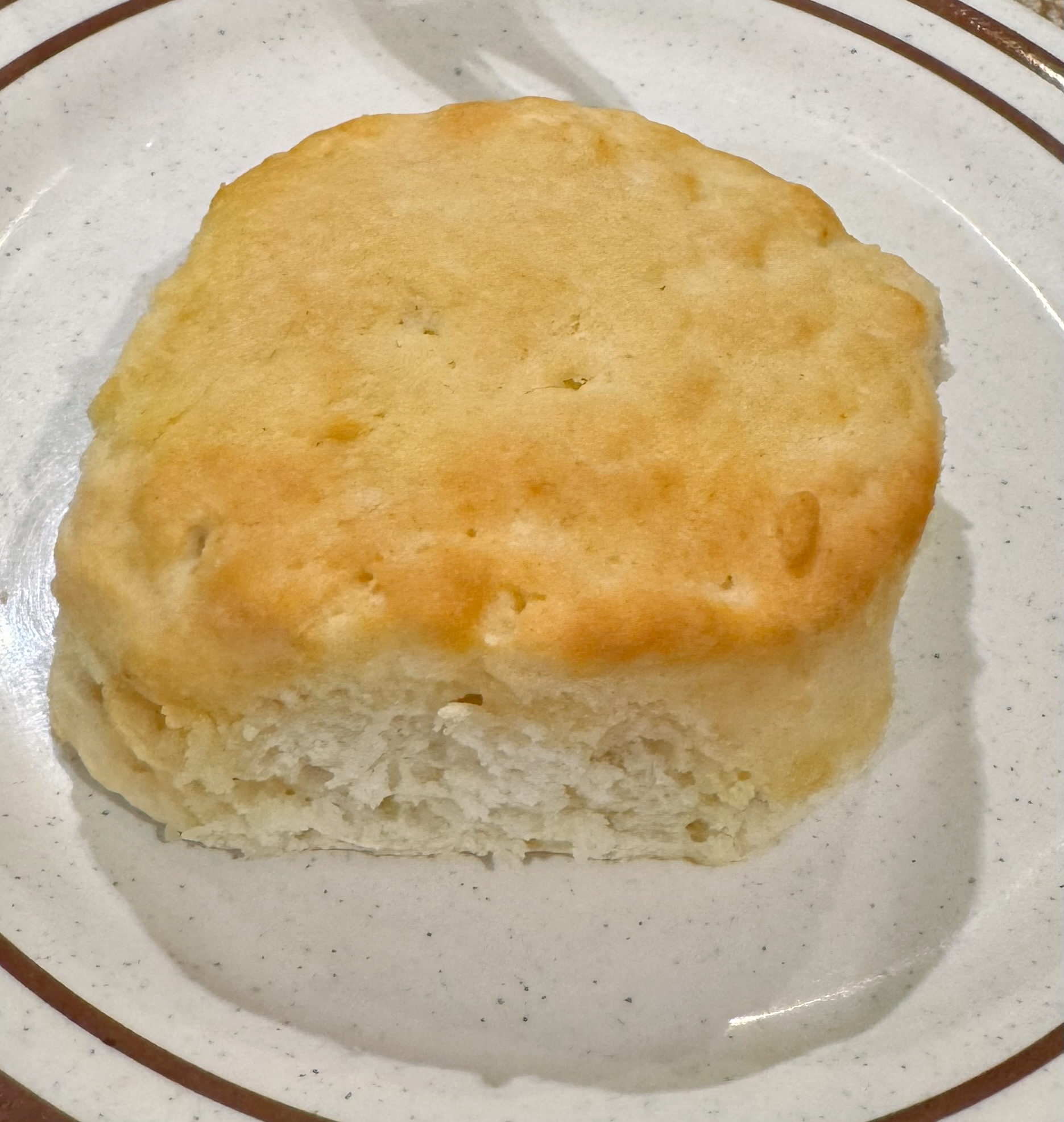 Plain Biscuit