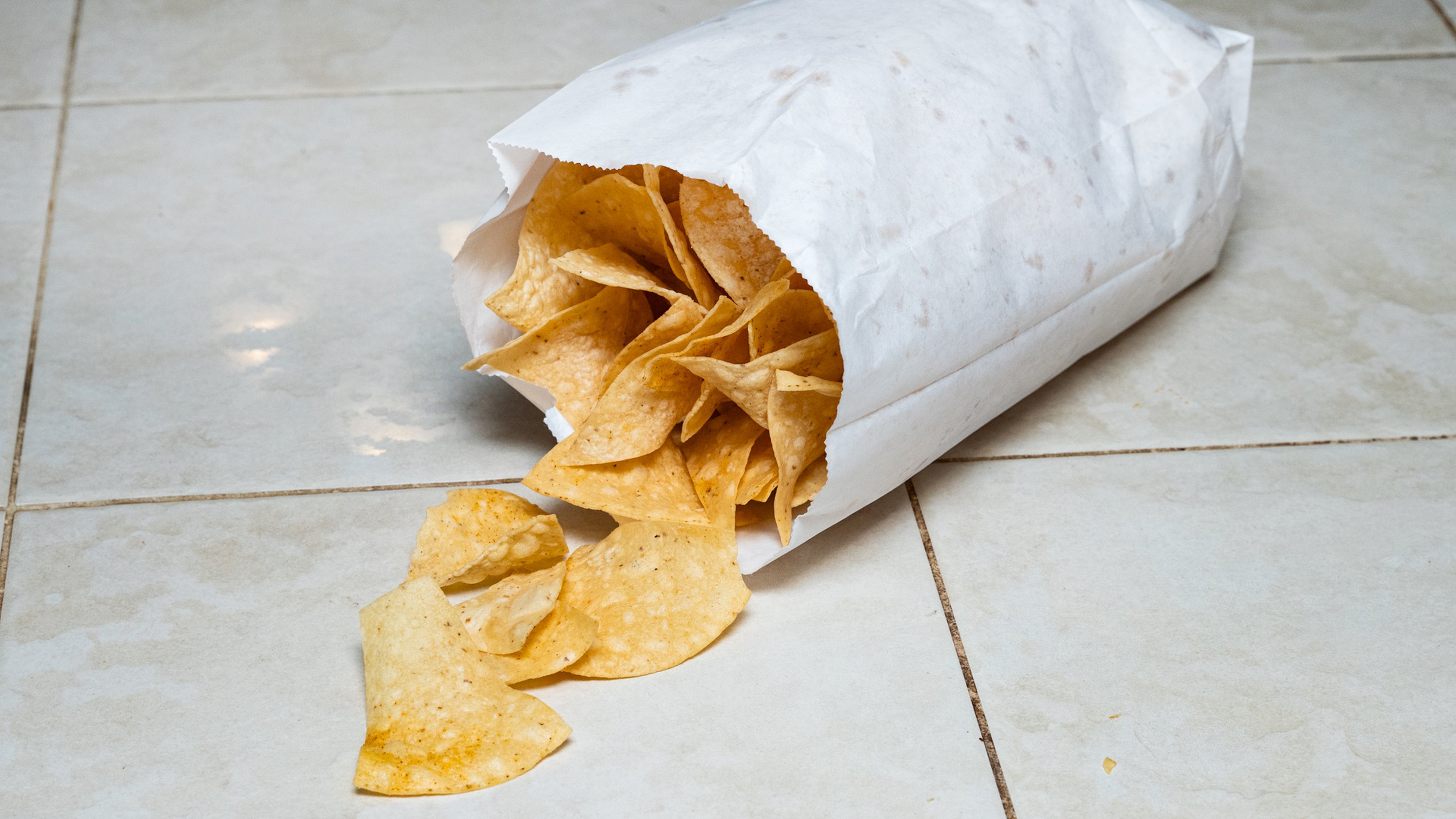 Large Chip Bag