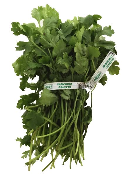 Cilantro, Fresh