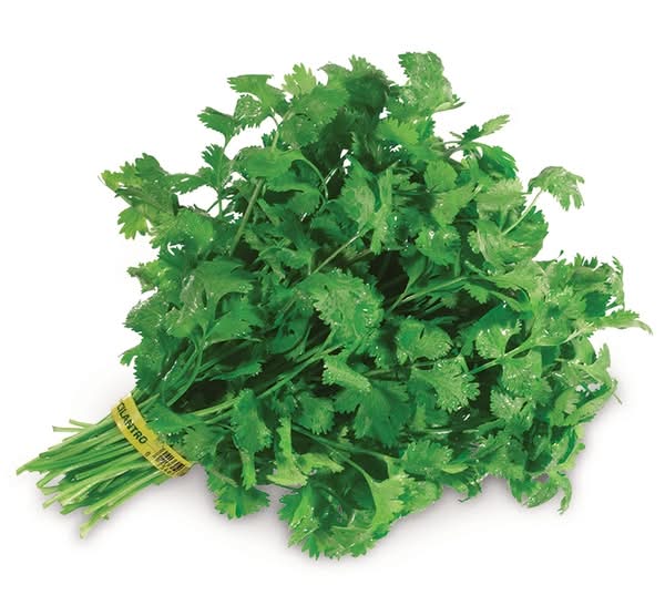 Nature's Greens Fresh Cilantro Bunch Herb