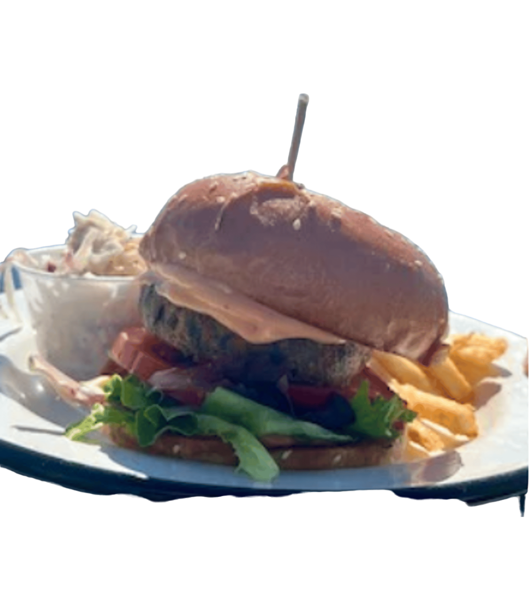 Sea Veggie Burger