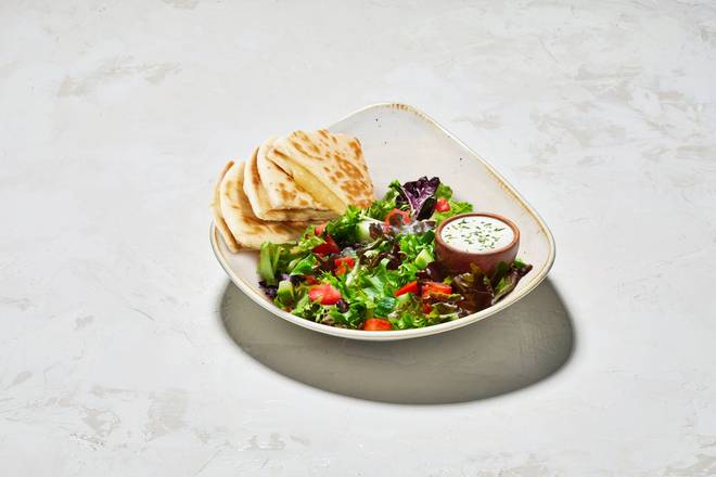 Kids Pita Melt