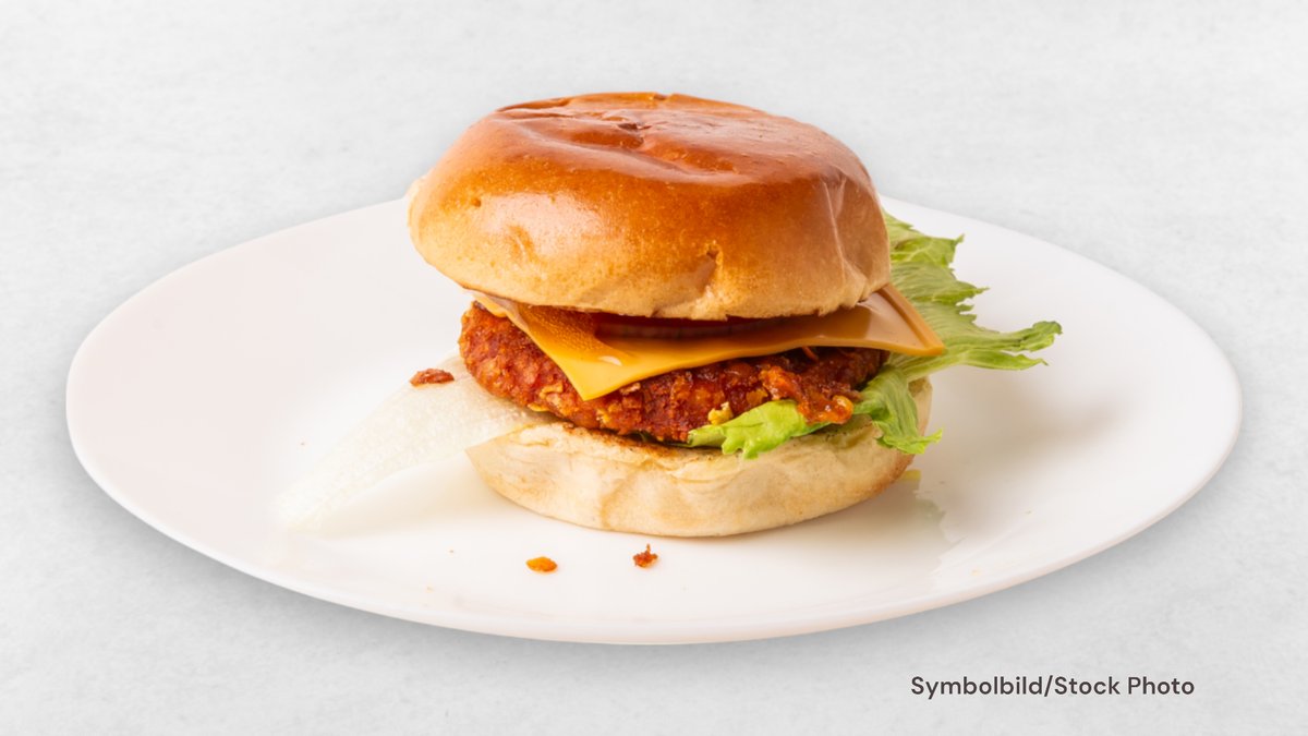 Schnitzel Burger