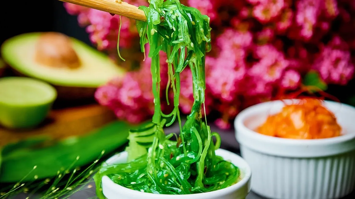 Sałatka Wakame