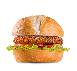 Falafel Vegano