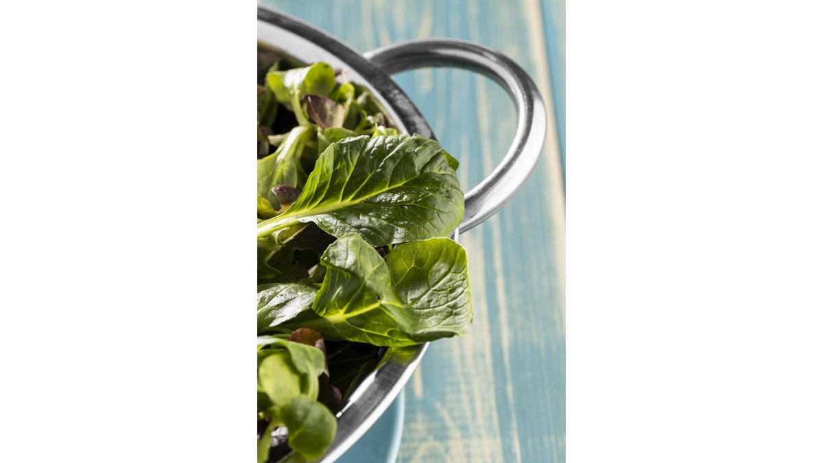 Garden Salad