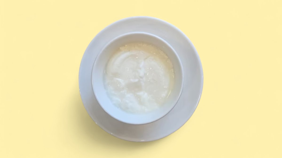 Village Yogurt