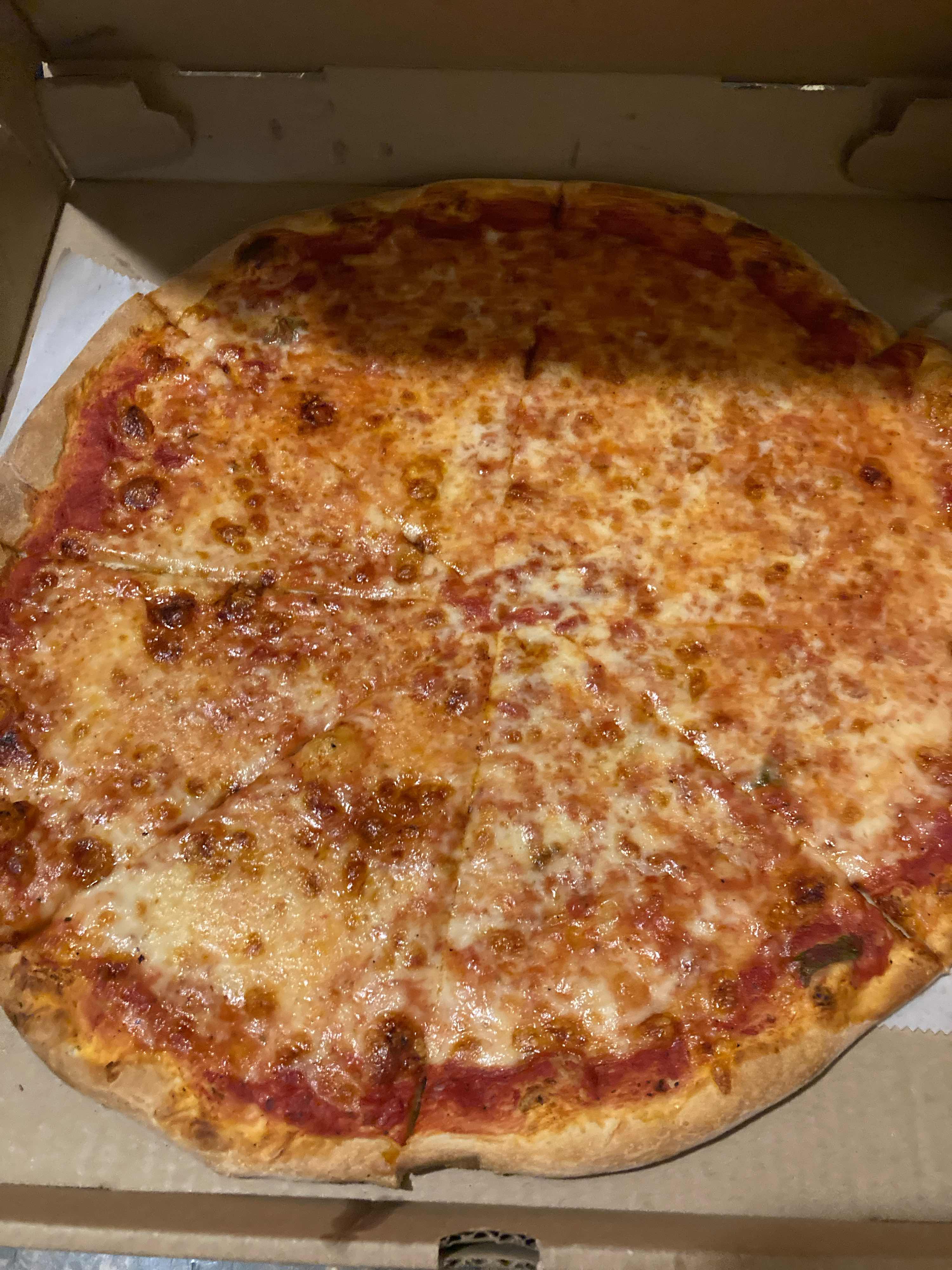 Large Plain Pizza
