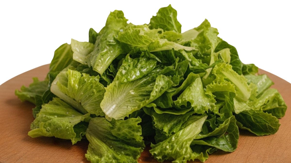 Zelena salata