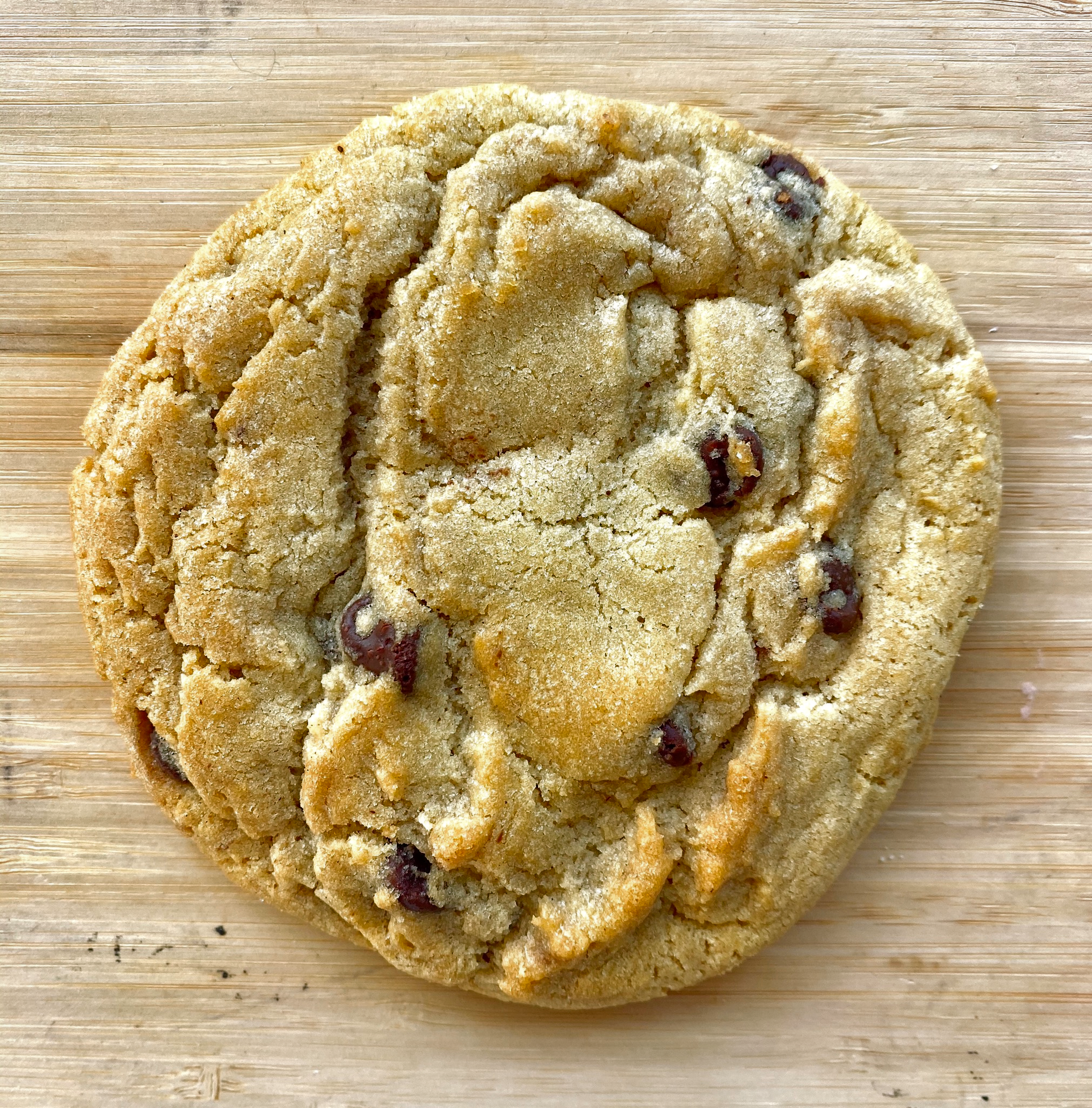 Chocolate Chip